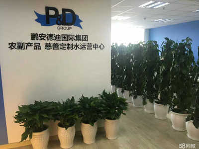 山東鵬安德迪商務咨詢